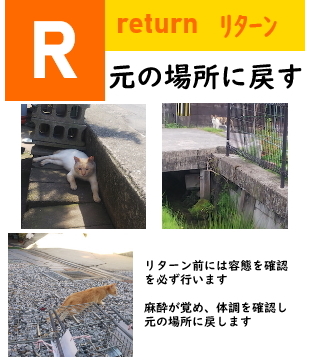 tnrr