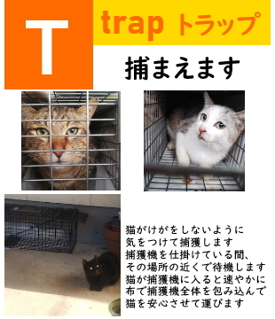 tnrt